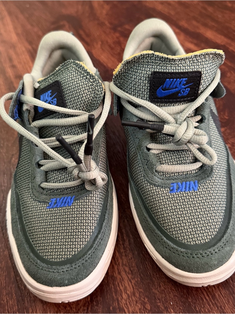 Nike Kids Olive Green and Blue SB Sneakers